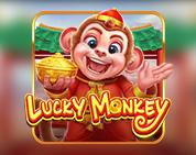 Lucky Monkey PP